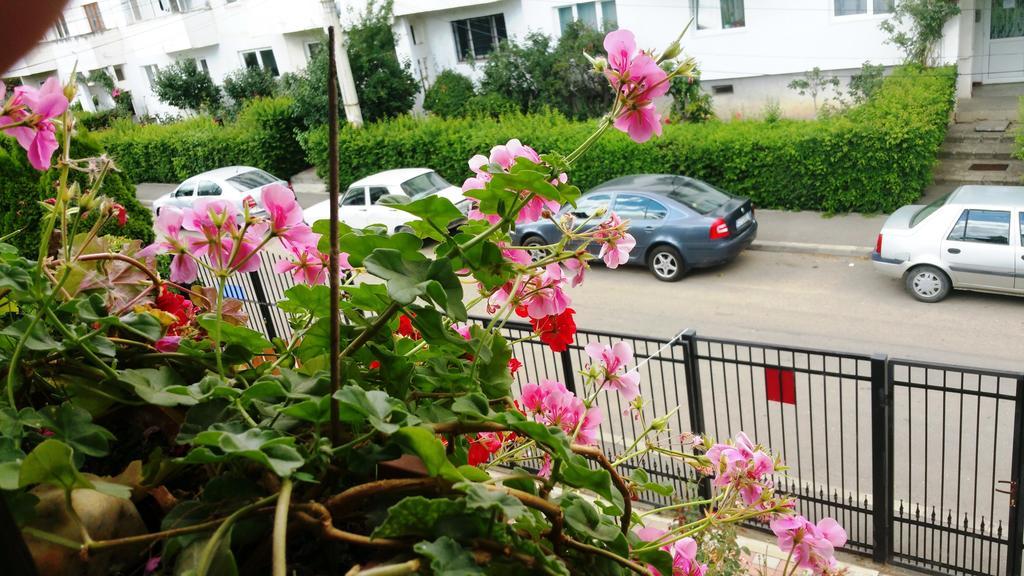 Lucas 38 Apartments Kluż-Napoka Zewnętrze zdjęcie
